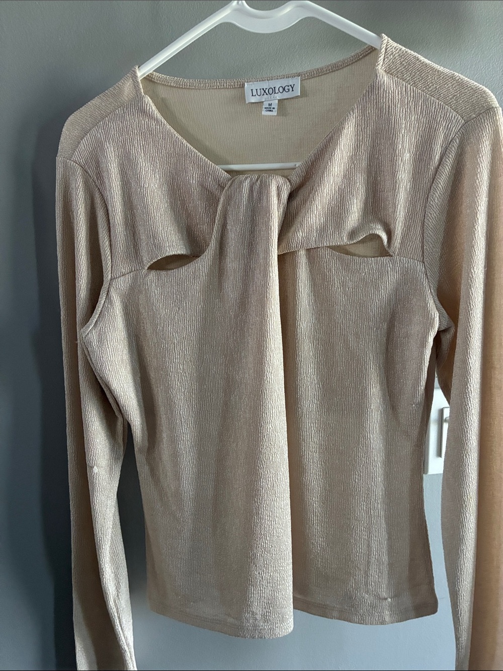 Luxology Neutral Cutout Tie-Front Long Sleeve Top